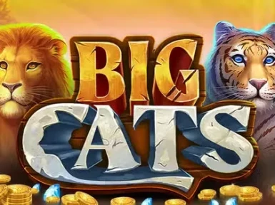 Betzard Casino screenshot